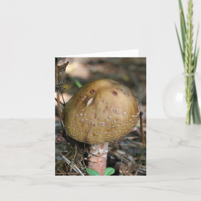 Cartão De Notas Woodland Mushroom Nature Photography  (Frente)