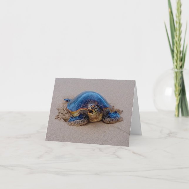 Cartão De Notas Yawning Sea Turtle (Frente)