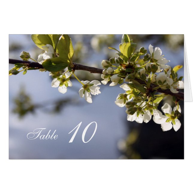 Cartão de número da tabela jante florescente de ce (Frente horizontal)