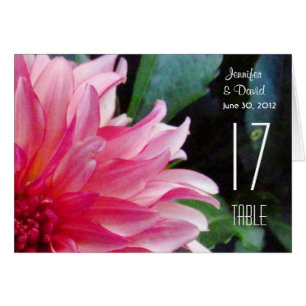 Cartão de Número de Tabela Dahlia Rosa