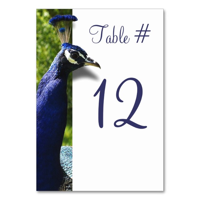 Cartão de Número de Tabela de Casamento de Peacock (Frente)