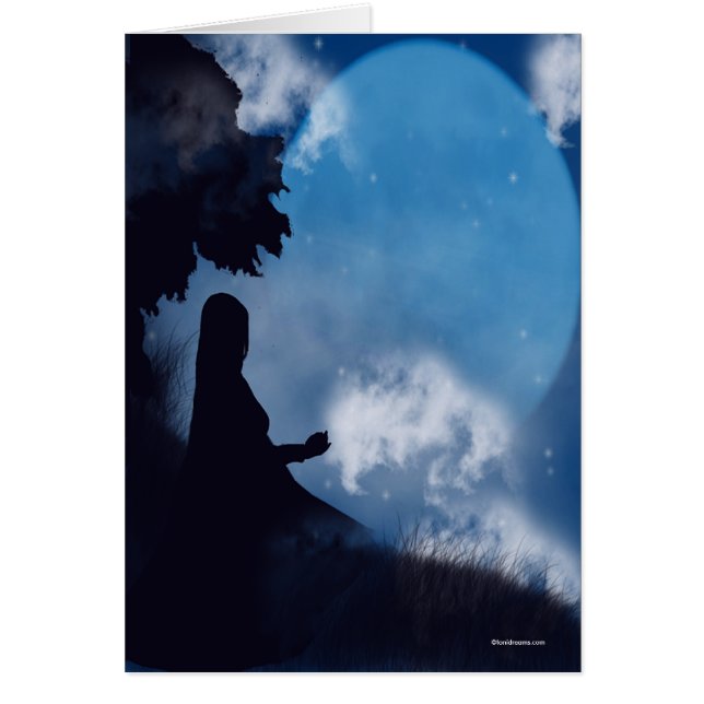 Cartão de observação do céu nocturno (Frente)