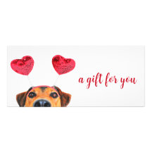 Cartão de Oferta de Banda de Cabeça de Cachorro Bo