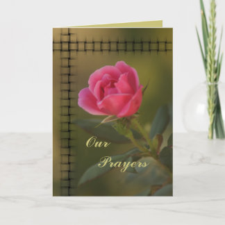 Cartão de oração de nocaute rosa- personalizar