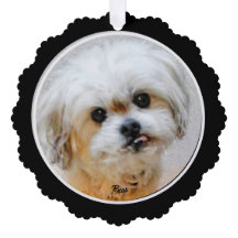 Cartão de Ornamento de Papel Malshi