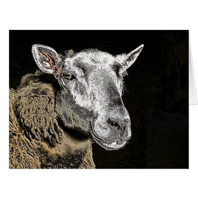 CARTÃO DE OVINO (Frente horizontal)