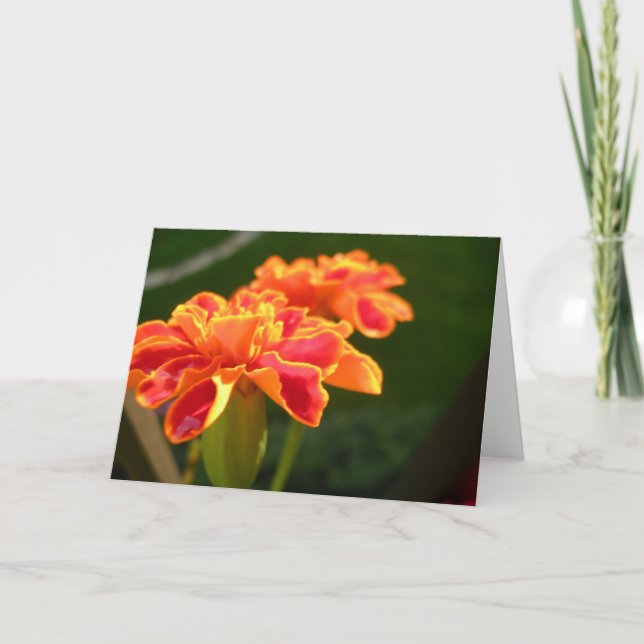 Cartão de Paixão (Frente)