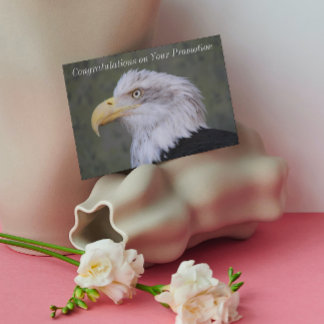 Cartão de Parabéns de Promoção de Fotografias da B