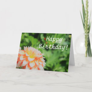Cartão de "Parabéns Feliz Aniversário" da bonito S