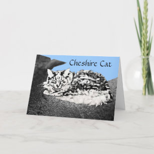 Cartão de Parabéns para gatos Cheshire