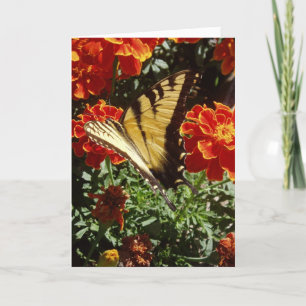 Cartão de Páscoa "Borboleta Amarela"