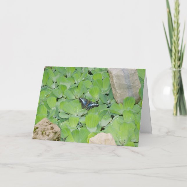 Cartão de Páscoa "Borboleta Azul" (Frente)