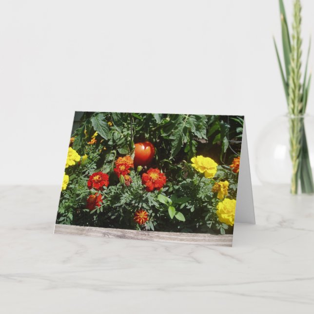 Cartão de Páscoa "Como uma bola de borracha vermel (Frente)