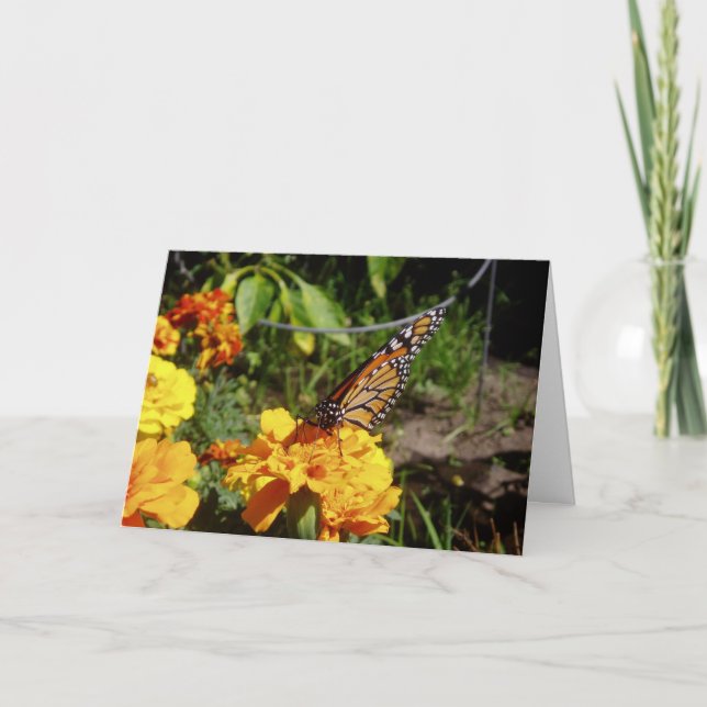 Cartão de Páscoa "Em Paz" (Frente)