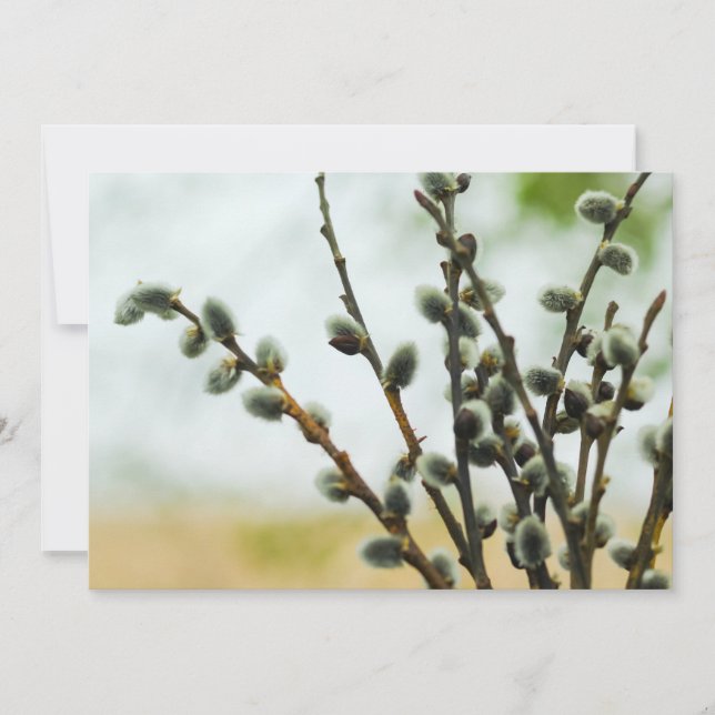 Cartão de Páscoa Religioso com Ramos Selvagens Pus (Frente)