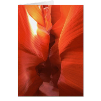 Cartão de Passagem do Canyon Corkscrew