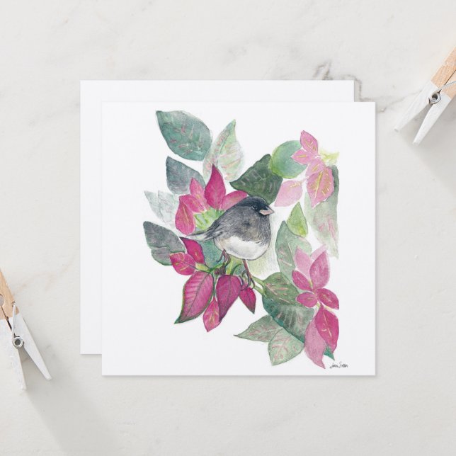 Cartão de Pássaro Junco Olhado Escuro (Frente/Verso In Situ)