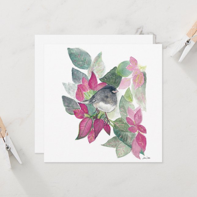 Cartão de Pássaro Junco Olhado Escuro (Frente/Verso In Situ)