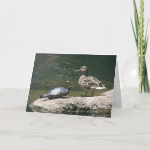 Cartão de pato