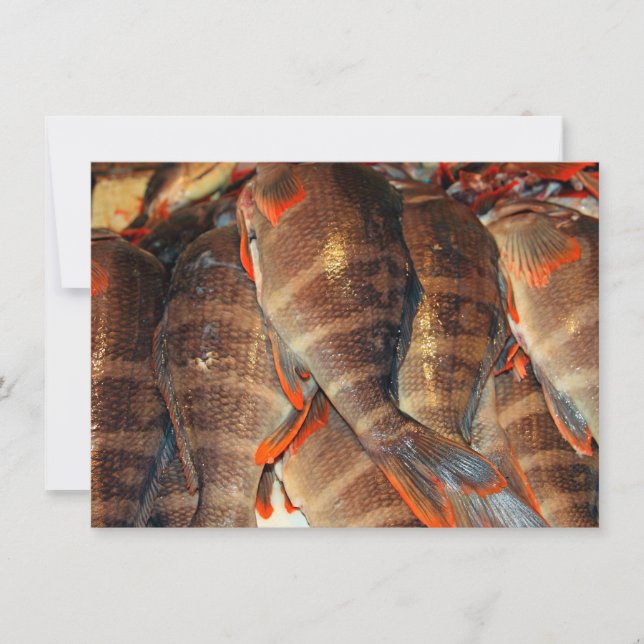 Cartão de peixe fresco (Frente)