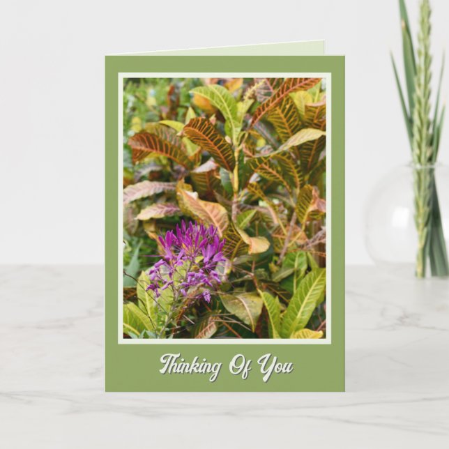 Cartão de Pensamentos de Rápida Recuperação Alegre (Frente)