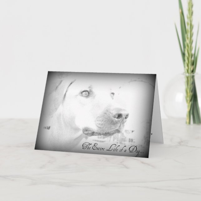 Cartão de Perda de Cão (Frente)