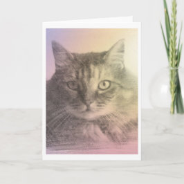cartão de perda para gatos