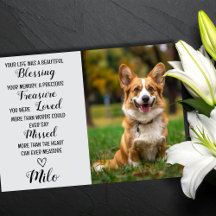 Cartão de Perda Personalizada de Foto Pet Simpatiy