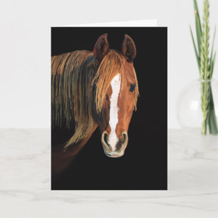 Cartão de pintura de cavalo