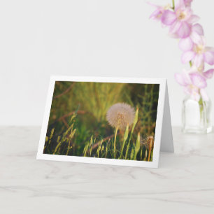 Cartão de Planta Salsify Ocidental