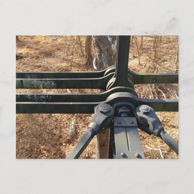 cartão de ponte florestal de inverno (Frente)