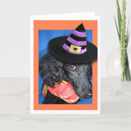 Cartão de Poodle do Feliz Festa de Halloween