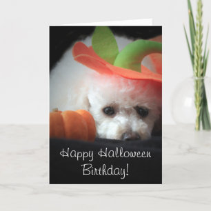 Cartão de Poodle Feliz Halloween Aniversário