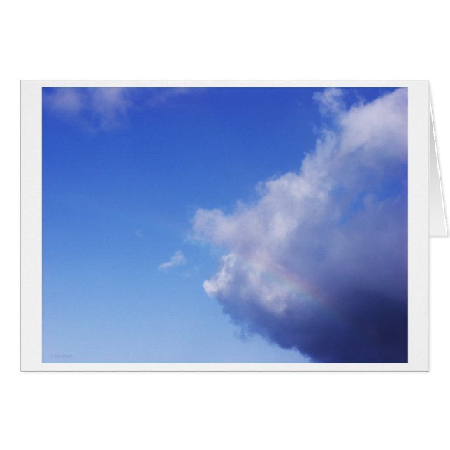 Cartão de porcos e arco-íris (Frente Horizontal)