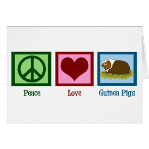 Cartão de Porquinho-da-Índia Fofo Paz Amor Porquin