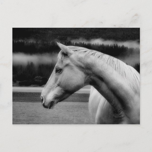 Cartão de Posto Bela Branca (Frente)