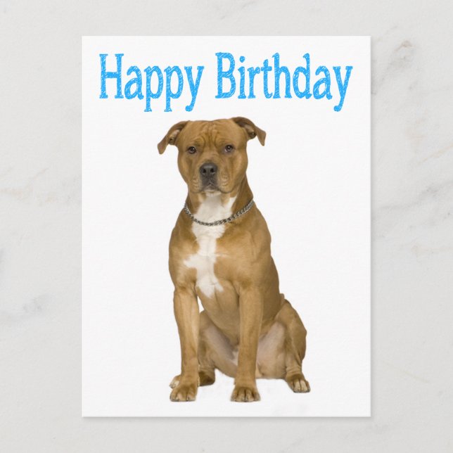 Cartão de Posto Birthday American Staffordshire Te (Frente)