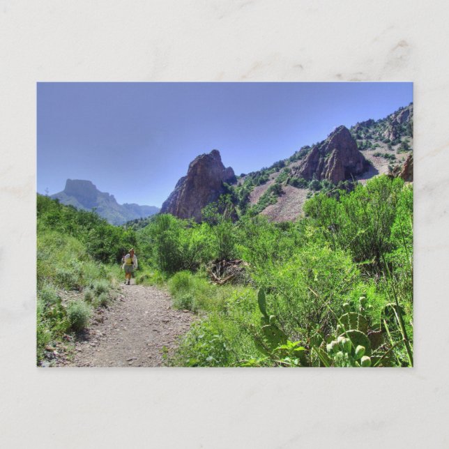 Cartão de posto de Big Bend de caminhada (Frente)