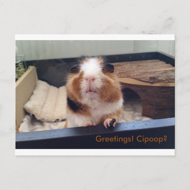 Cartão de posto de cocô de cigarro (Frente)