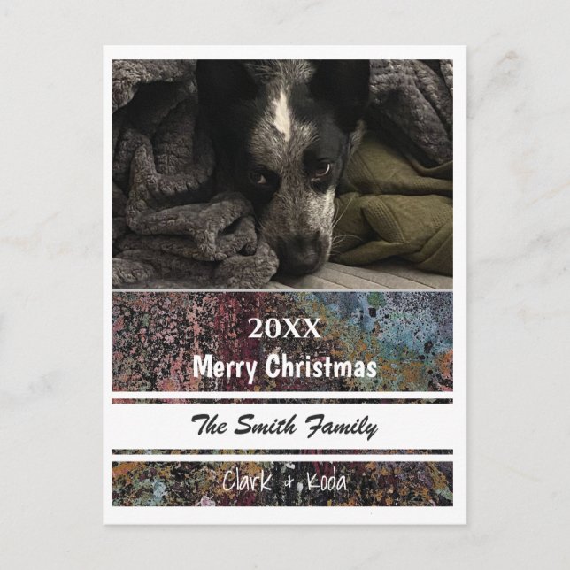 Cartão de Posto de Fotografias - HAMbyWG (Frente)