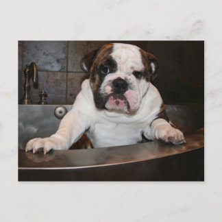 Cartão de Posto de tempo de banho