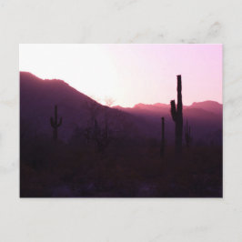 Cartão de posto do pôr do sol na Arizona Surprise