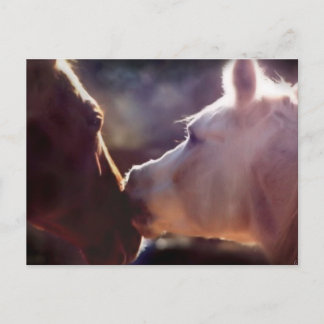 Cartão de Posto Equine para Melhores Amigos