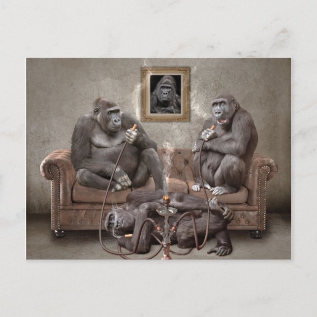 Cartão de Posto Hookah Smoking Apes (Frente)