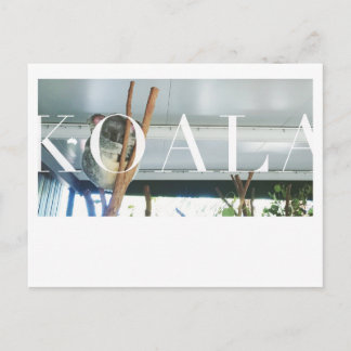 Cartão de Posto Koala Austrália