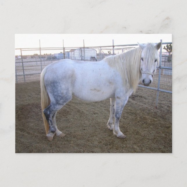Cartão de Posto Merlin (Frente)