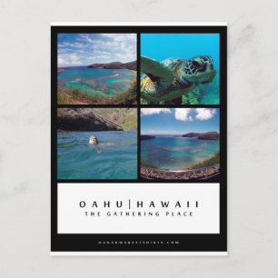 Cartão de Posto Oahu Hawaii Hanauma Bay