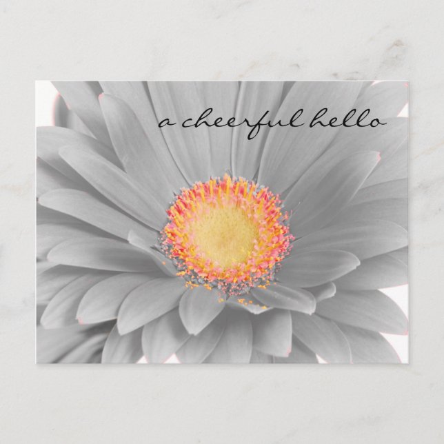 Cartão de Posto Olá Cheio (Frente)