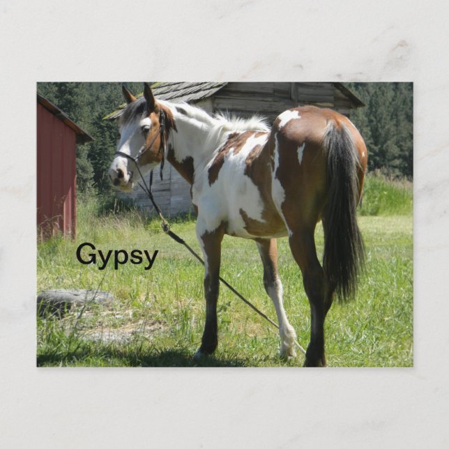 cartão de posto pinto filo (Frente)