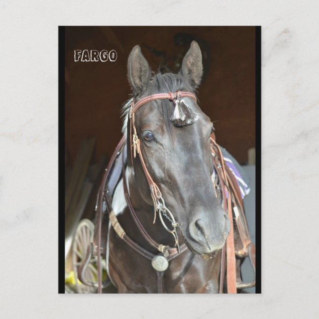 cartão de Posto pinto mare Fargo (Frente)